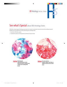 DBS HistologyFlyer PrintVersionFINAL