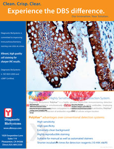 DBS USCAPFlyer 022409 v1