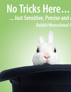 Diagnostic BioSystems RabbitMonoclonalBrochure 031115 v4 web