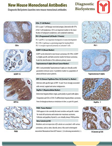 New Mouse Monoclonal Antibodies