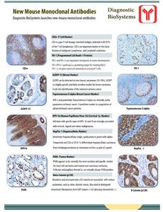 New Mouse Monoclonal Antibodies other
