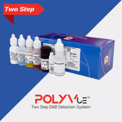 PolyVue Plus Mouse Rabbit HRP DAB Kit 1