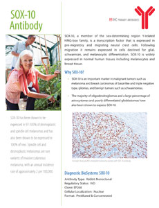 SOX10Flyer v4