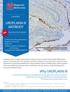 UROPLAKIN 111 1
