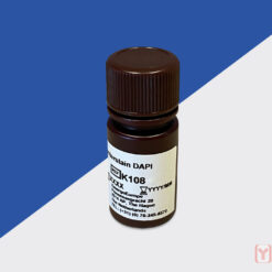 K108 DAPI