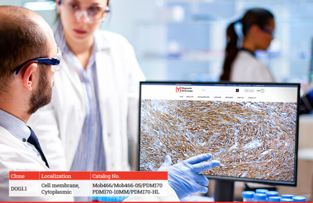 DOG 1 Antibody Diagnostic BioSystems