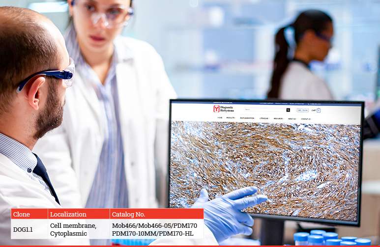 DOG 1 Antibody Diagnostic BioSystems