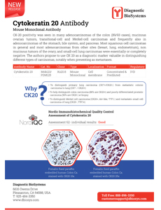 Cytokeratin20 Antibody