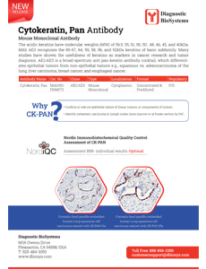 CytokeratinPAN Antibody