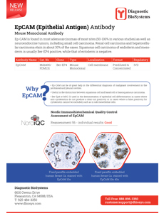 EPCAM antibody