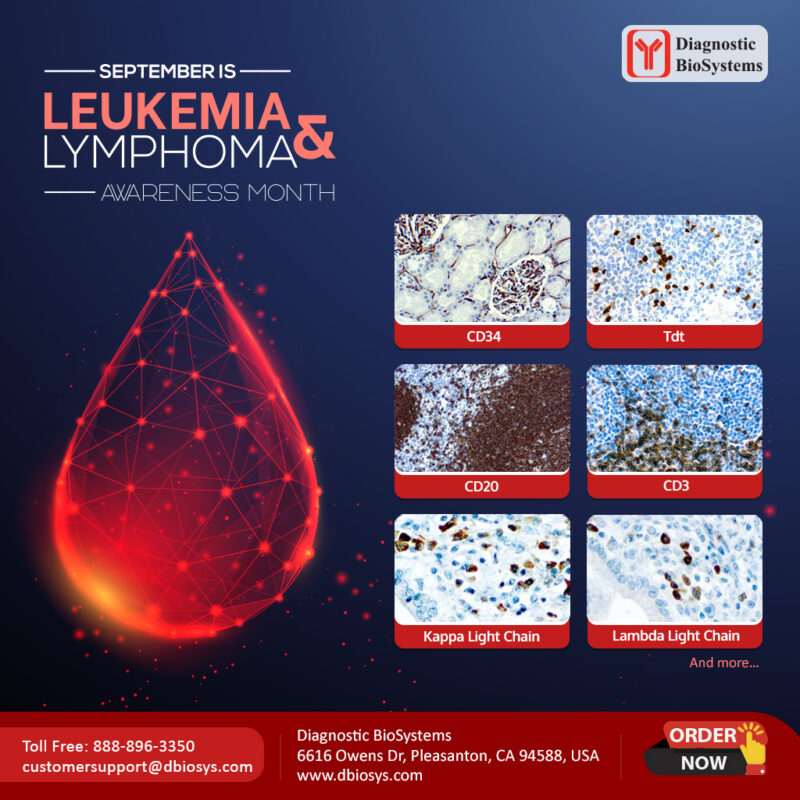 Blood Cancer Cancer Awareness