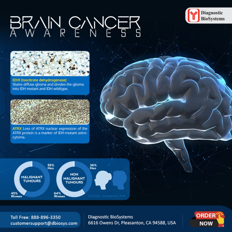 Brain Cancer Awareness