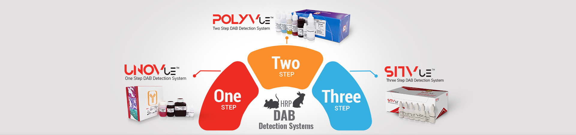 Detection Kits