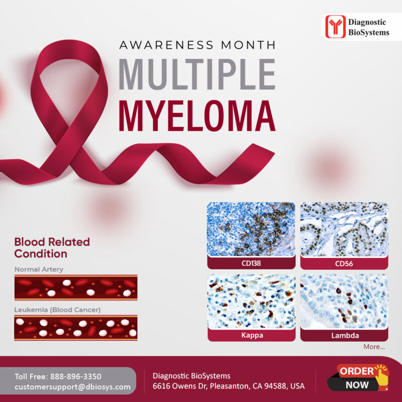 Multiple Myeloma Awareness Month