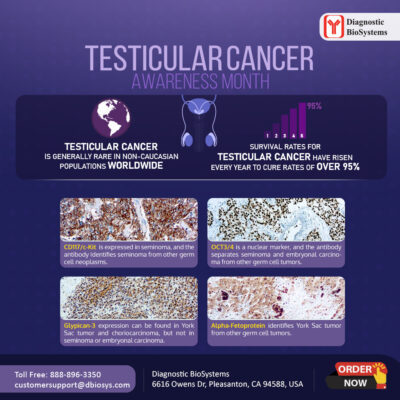 Testicular Cancer Awareness Social DBS