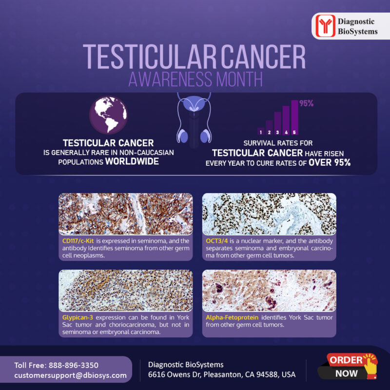 Testicular Cancer Awareness Social DBS