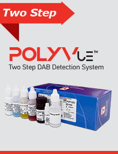 TwoStep PolyVue thumb