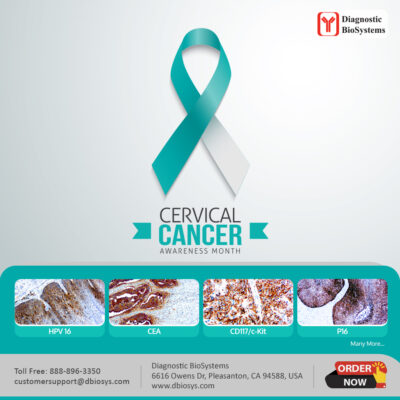 Cervical Cance Awareness