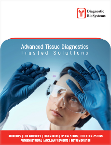 Corporate brochure Thumbnail