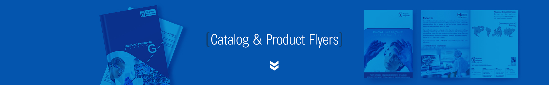 Catalog & Product Flyers page banner