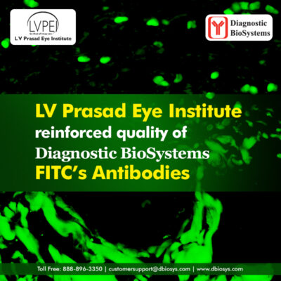 EmailsFITC Ab LV Prasad 2025