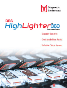 DBS HighLighter Brochure 061120 web