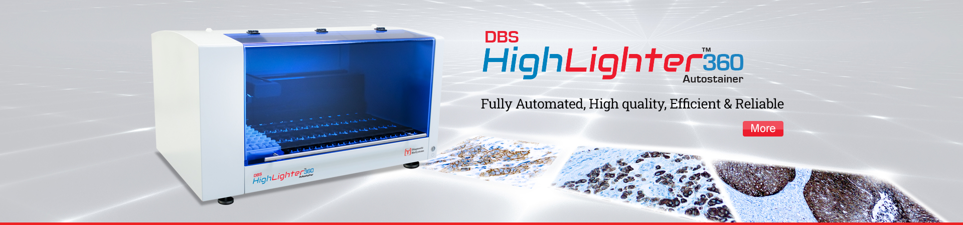 Home page web banner Highlighter