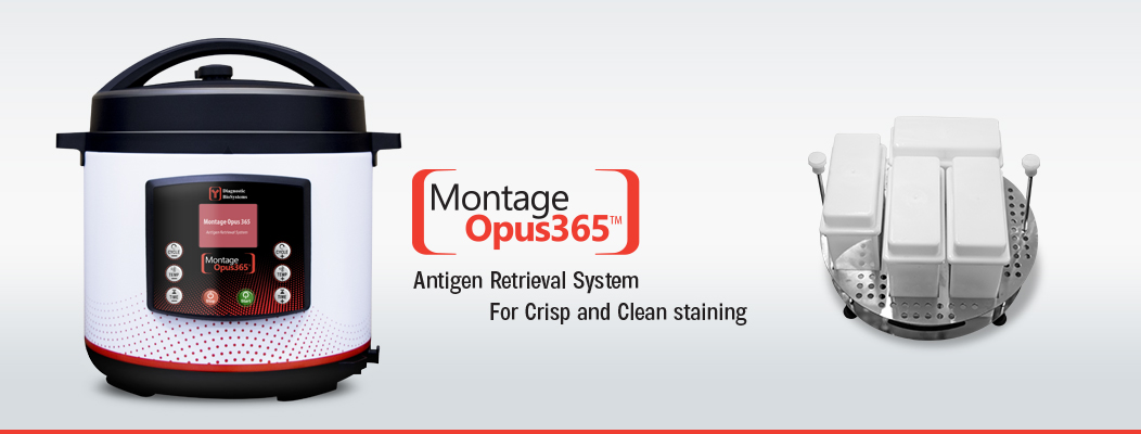 Montage Opus365 banner