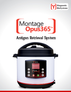 MontageOpus354 Thumb